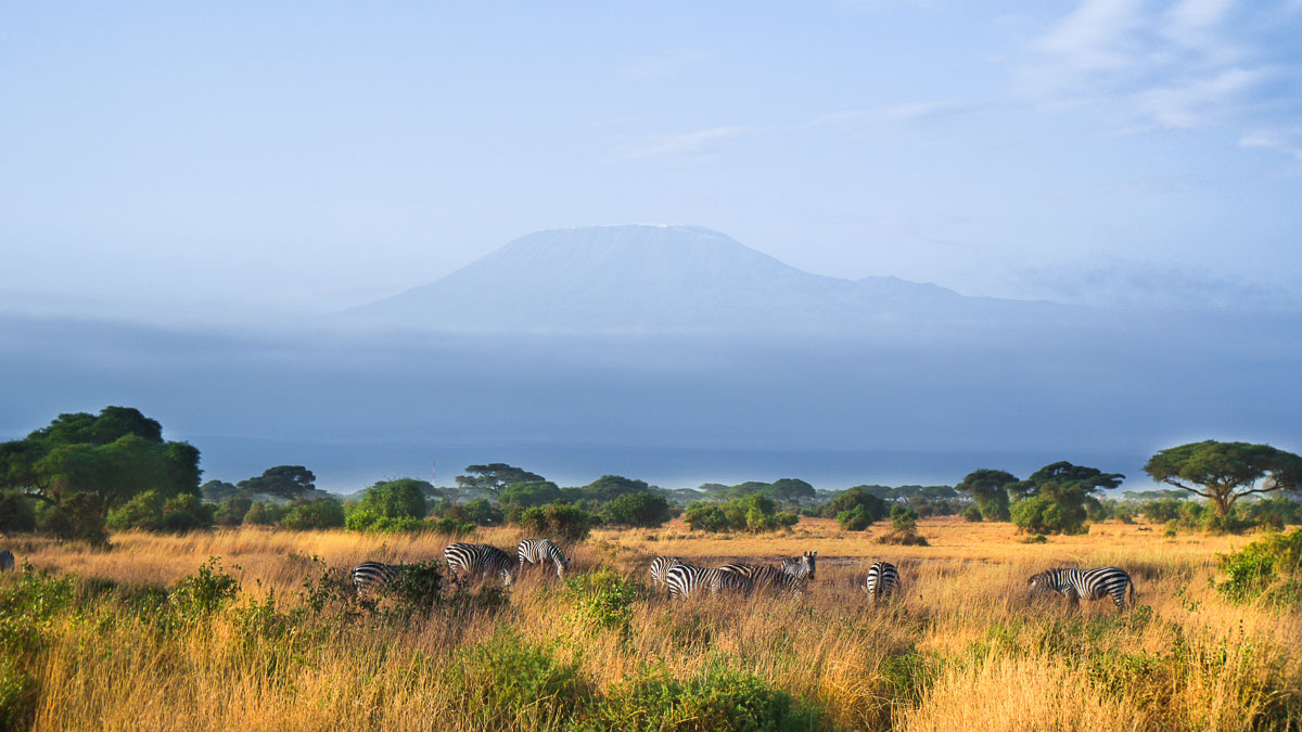 Zebras at Amboseli National Park - Kenya Safari Itinerary