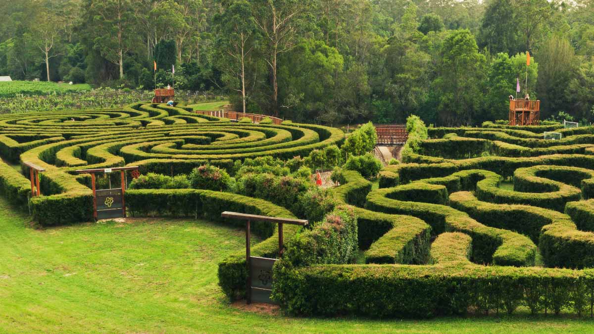 Bago Maze - Australia Road Trip