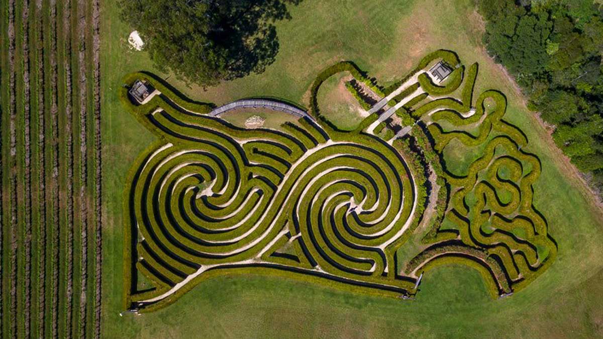 Bago Maze aerial view - Australia Road Trip