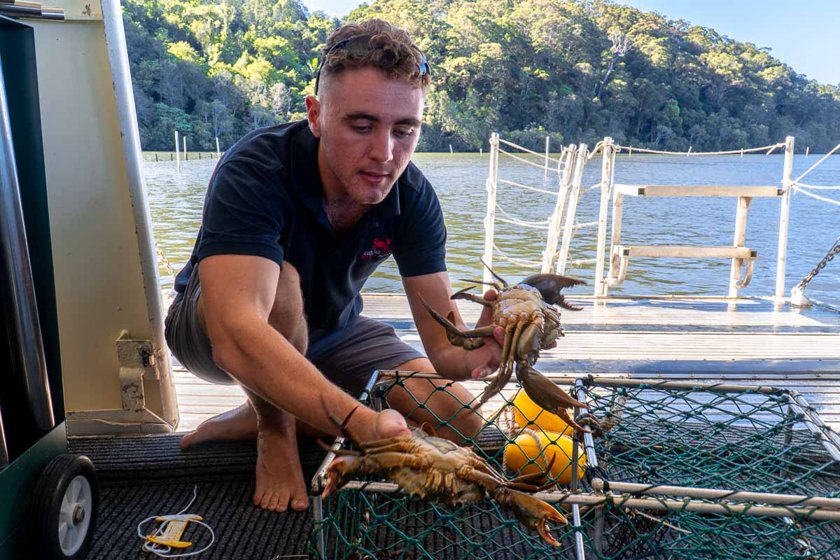Catch A Crab Demonstration and Show - Byron Bay NSW Itinerary