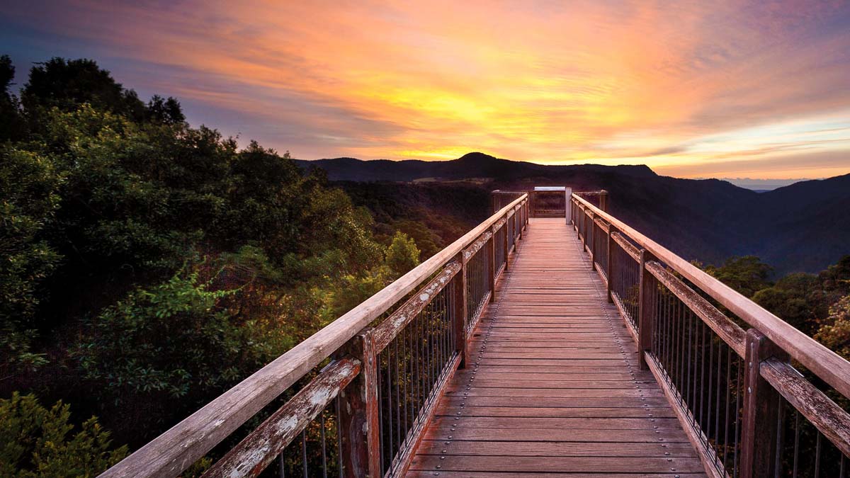 Dorrigo National Park - Australia Road Trip