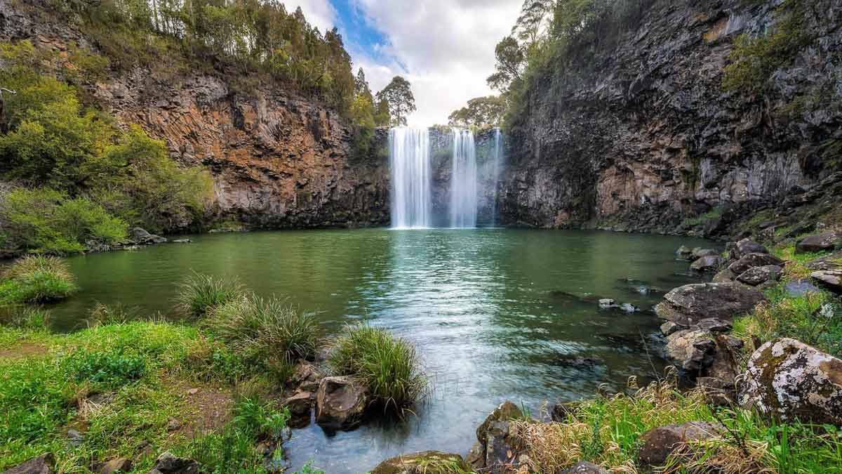 Dorrigo National Park Dangar Falls - Australia Road Trip