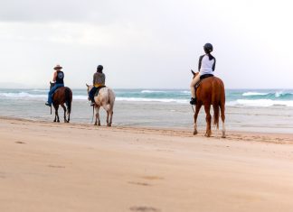 13 Reasons Why Byron Bay Should Be on Every NSW Itinerary Featured - Byron Bay NSW Itinerary