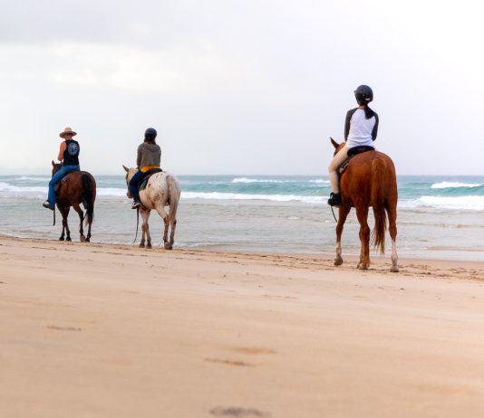 Featured - Byron Bay NSW Itinerary