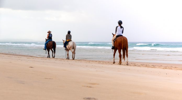 Featured - Byron Bay NSW Itinerary Featured - Byron Bay NSW Itinerary