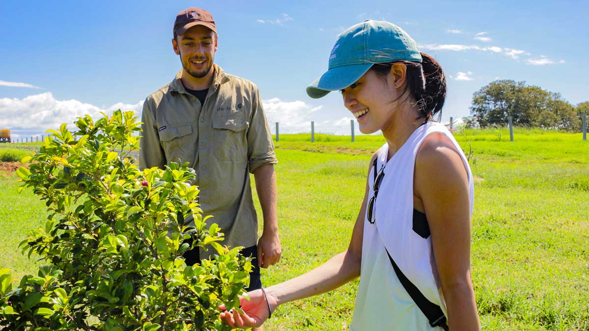 Learning about plants at The Farm - Byron Bay Guide