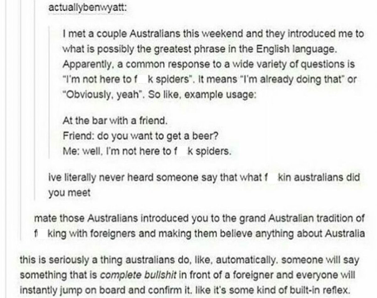 Not here to f with spiders explanation on tumblr - Australian Slang Guide