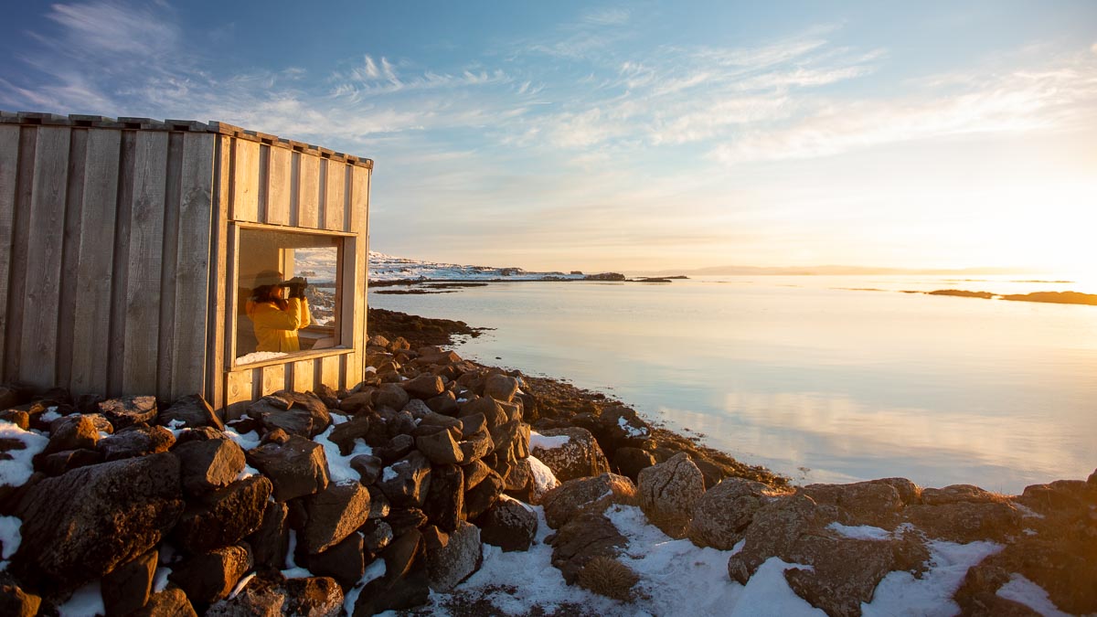 Seals Lookout - Iceland Budget