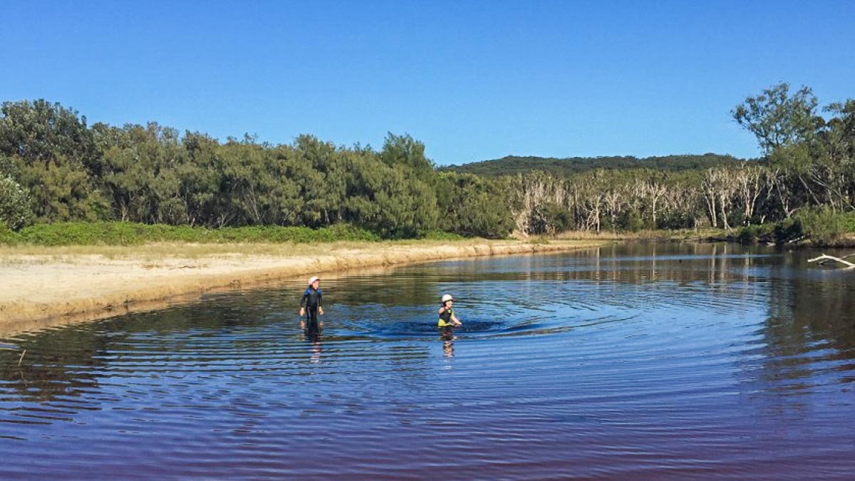 Tea Tree Lake (Lake Ainsworth) - Byron Bay Guide