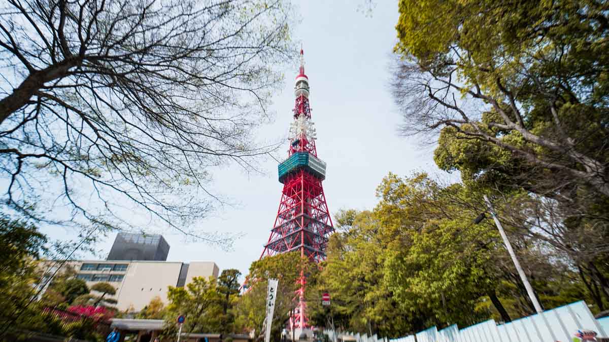Tokyo Tower Japan - Things to eat in Tokyo
