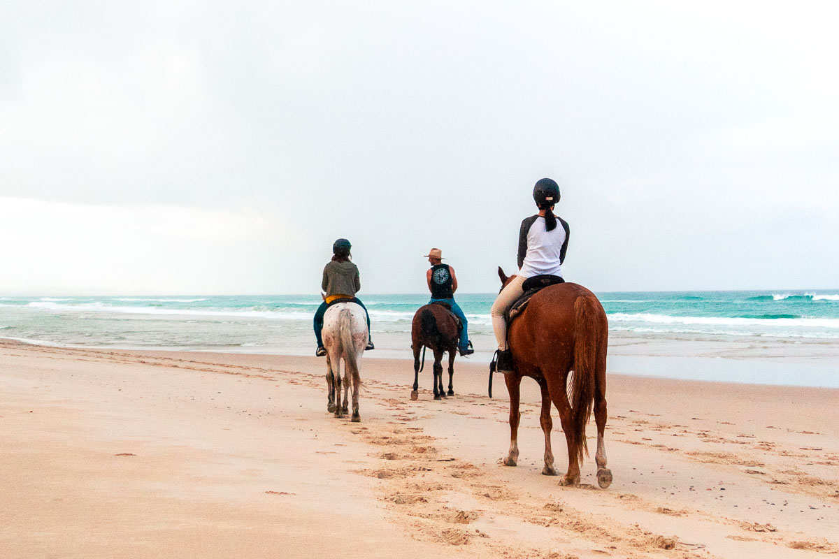 Zephyr Horses Sunset Tour riding on the beach - Byron Bay NSW Itinerary