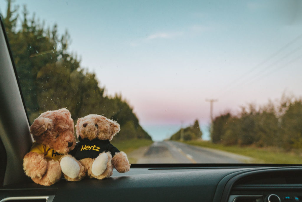 Hertz Bear Road trip - New Zealand Itinerary South Island