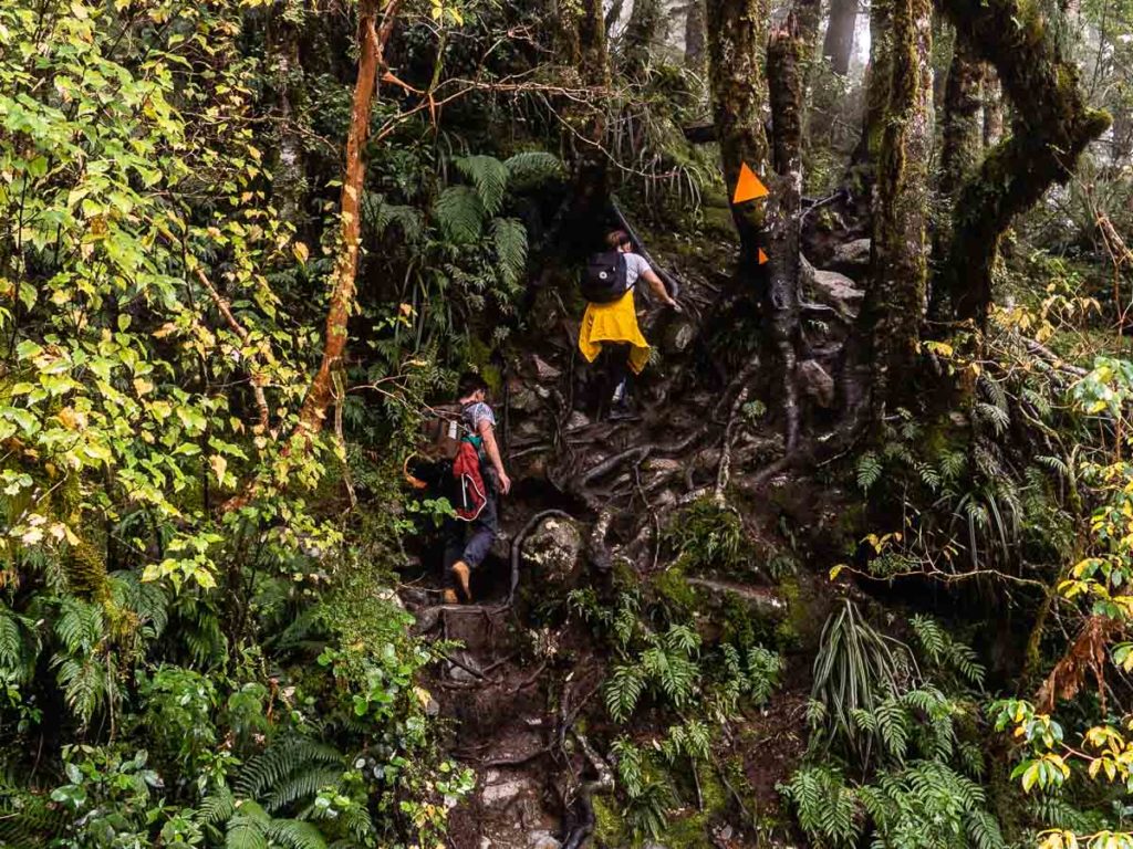 Lake Marian Hike - Saving the earth on holiday