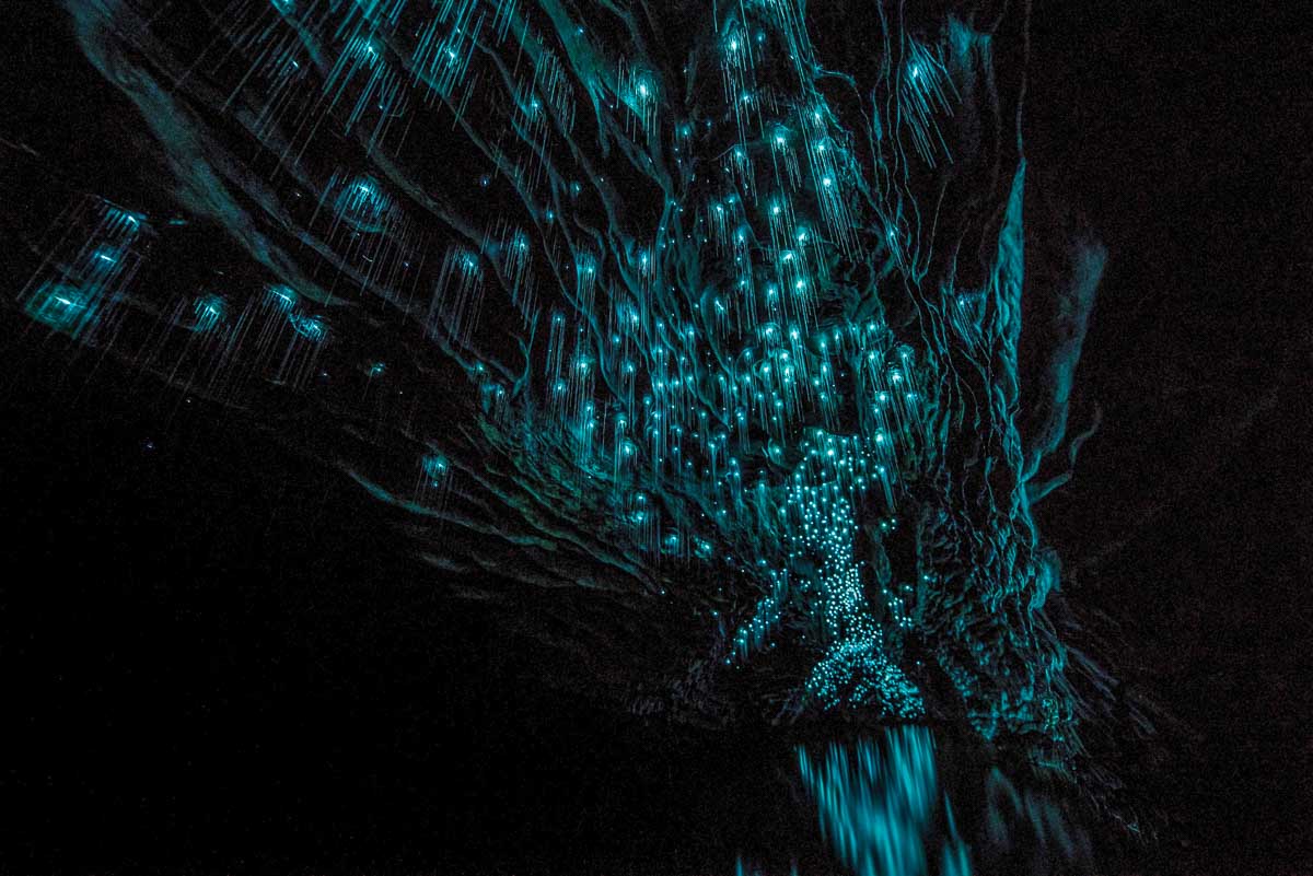 Waitomo Glowworm Caves-New Zealand routebeschrijving Noordereiland