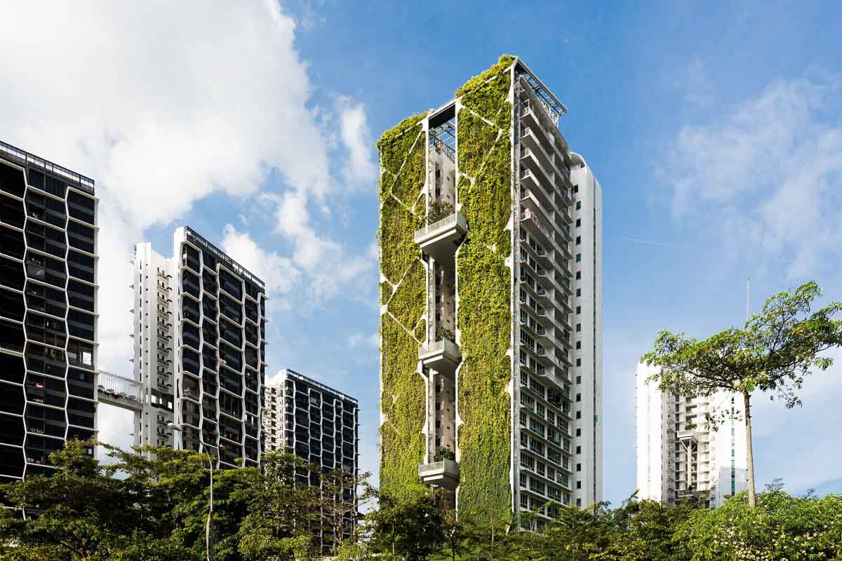 Tree house - The Hardest Singaporean Quiz