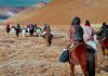 Featured V3 - Mongolia Itinerary