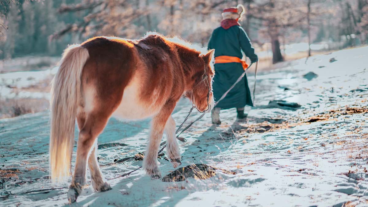 Horses 2 -Mongolia Itinerary