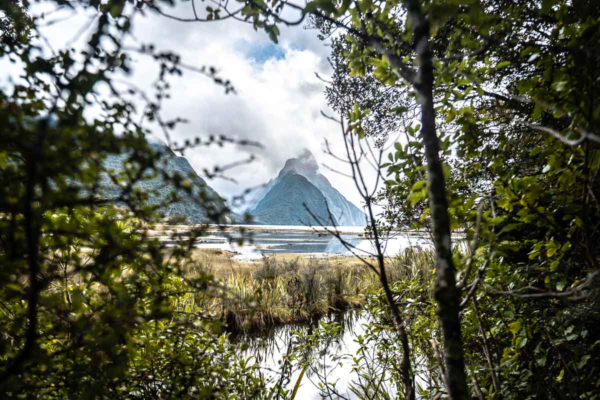 Milford Sound Foreshore - New Zealand Itinerary South Island