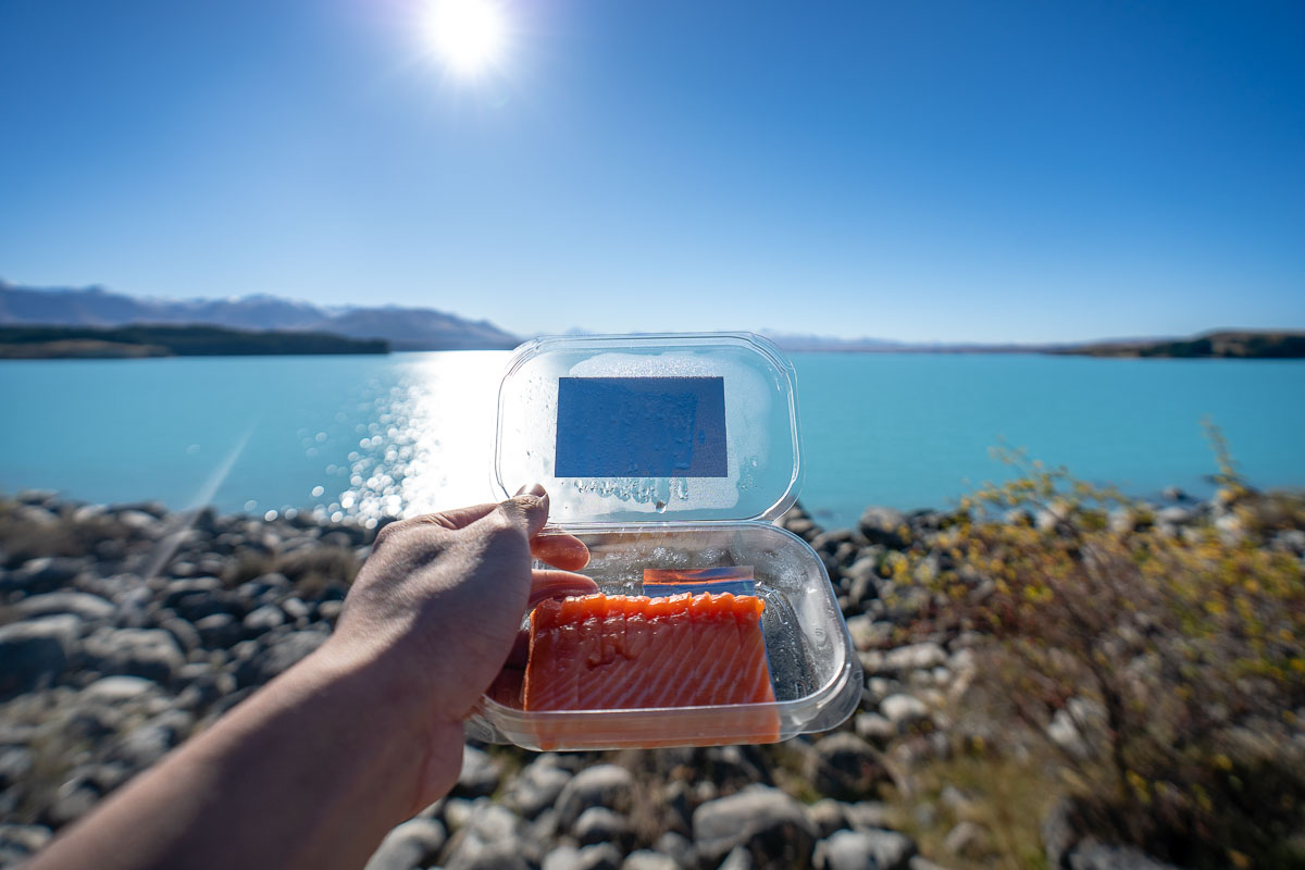 Mount Cook Alpine Salmon in front of Lake Pukaki - New Zealand Best Things to Do