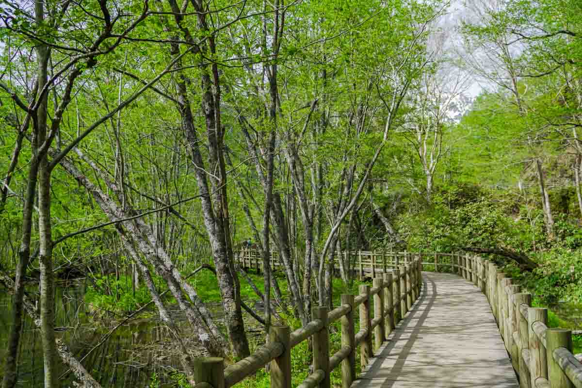 Trekking Path in Kamikochi - Nagano Itinerary for Couples Kamikochi Norikura Matsumoto