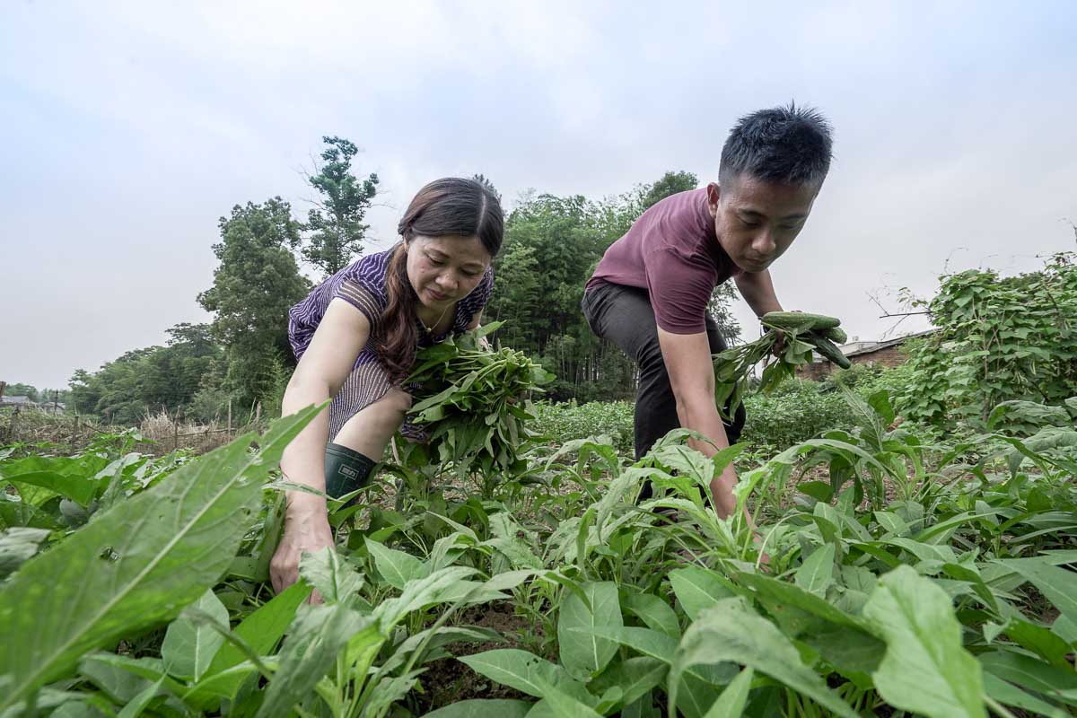 Xiangtan City 3 - Couchsurfing in China