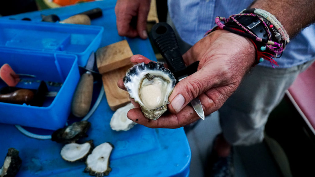 Captain Sponge Oyster Tour 1- Travelling to NSW with parents