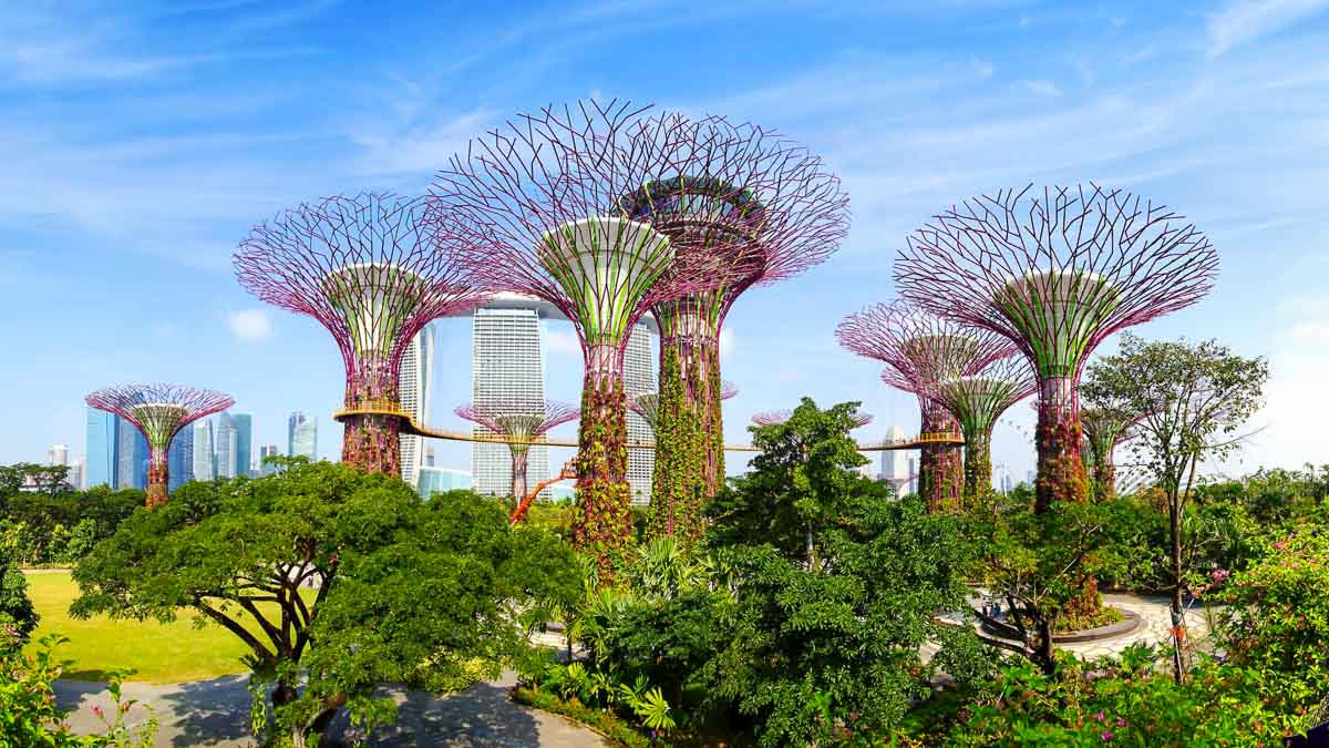 Gardens by the Bay in Singapore - Singapore Travel Guide