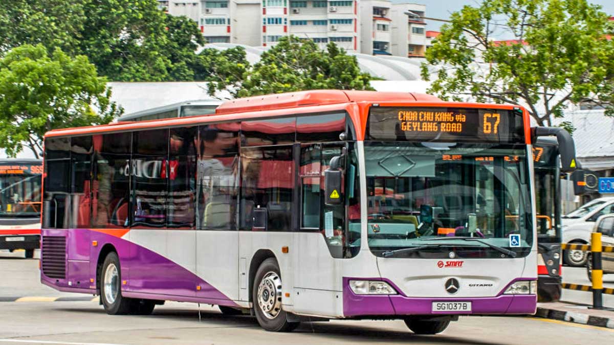 Public Bus in Singapore - Singapore Travel Guide