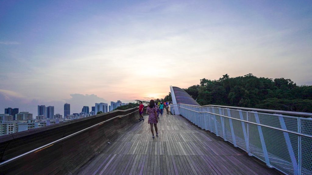 Walking Down Henderson Waves at Southern Ridges - Singapore Travel Guide