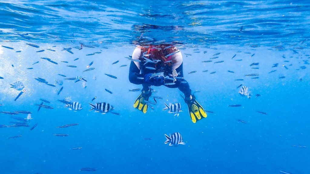 Blue cave snorkel - Okinawa Guide