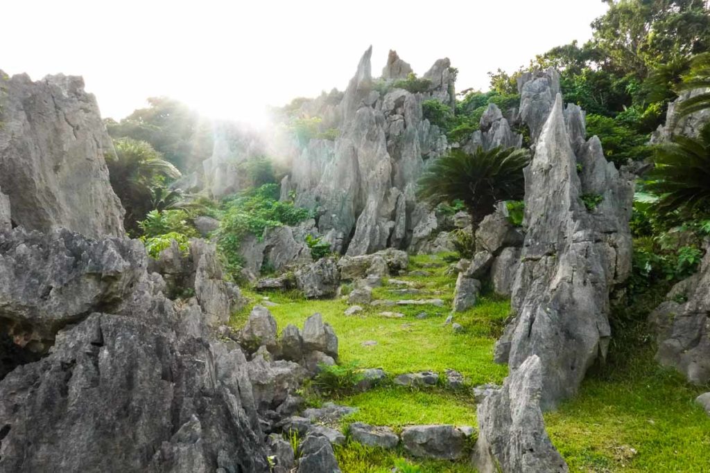 Daisekirinzan-park-stone-forest-Okinawa-guide