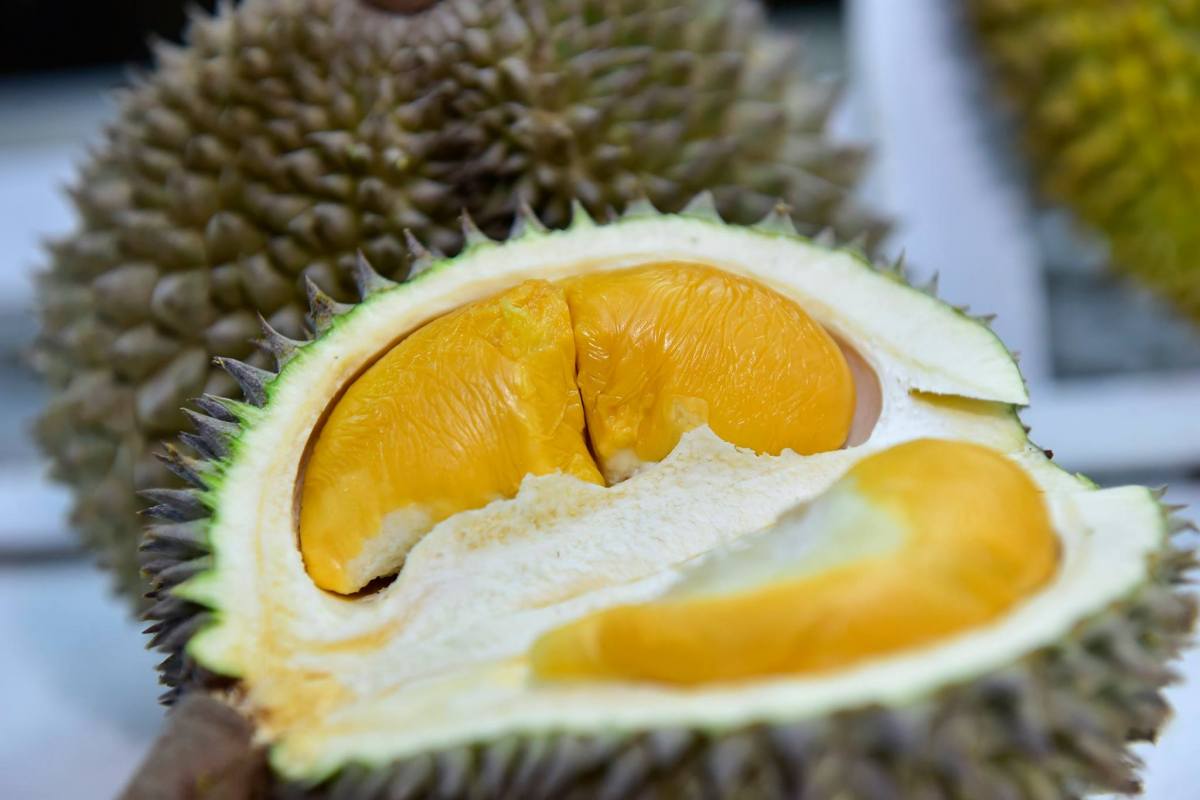 Durian - Singapore Food Guide