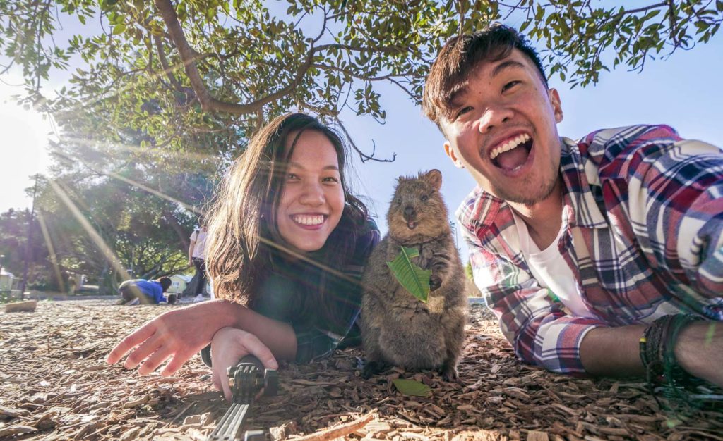 Featured - Rottnest Island Day Trip