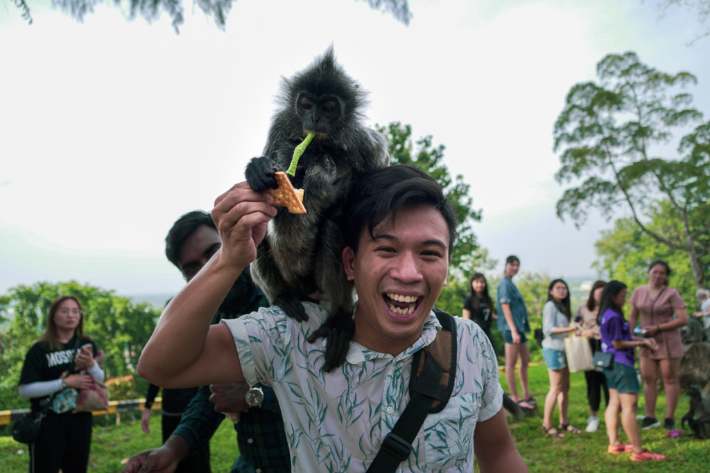 Guy with Monkey on Shoulder Thailand - Facts About The World