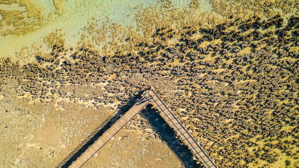 Hamelin-Stromatolites-Drone-Shot-Western-Australia-Itinerary