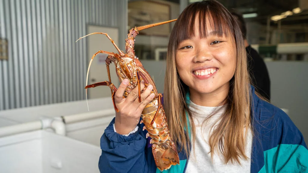 Huge-Lobster-Western-Australia-Itinerary