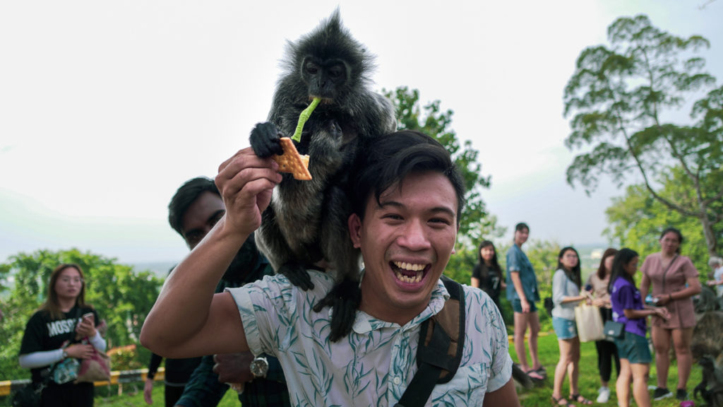 Interacting with the monkey - Things to do in Kuala Lumpur