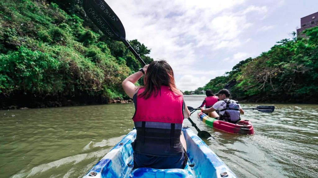 Mangrove kayaking in Okinawa - Okinawa guide