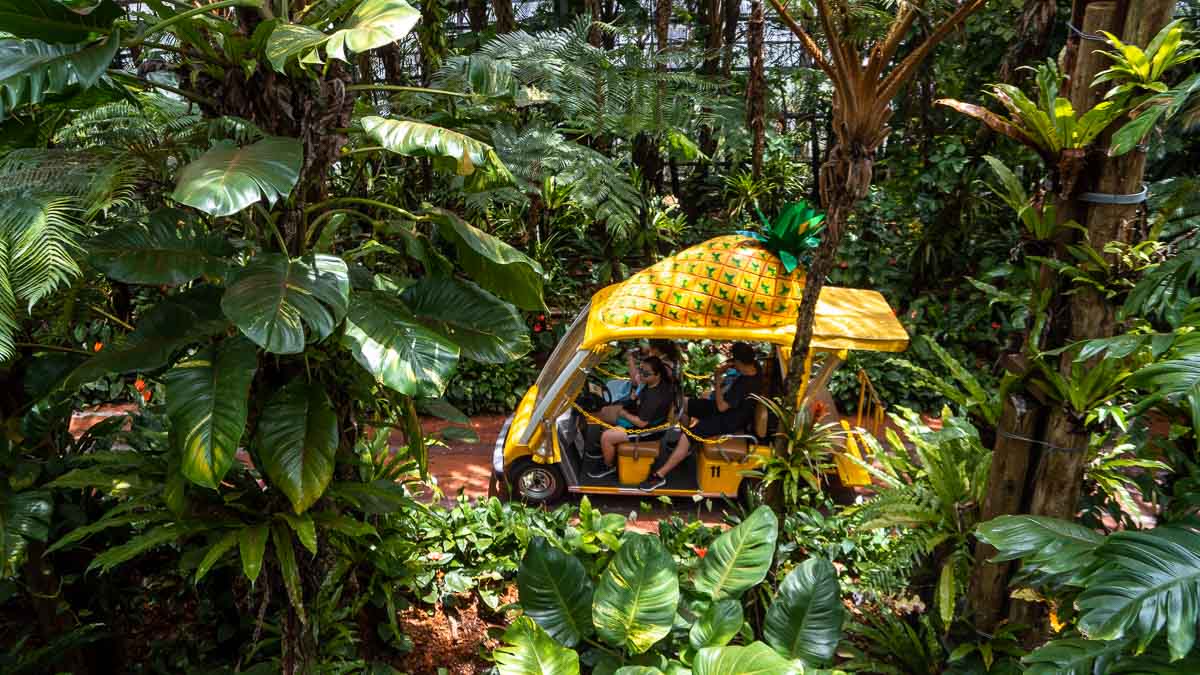 Nago Pineapple Park Cart - Okinawa Itinerary