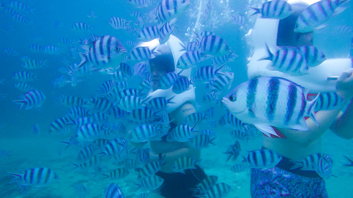 Underwater Walking with Schools of Fish - Things to Do in Okinawa 
