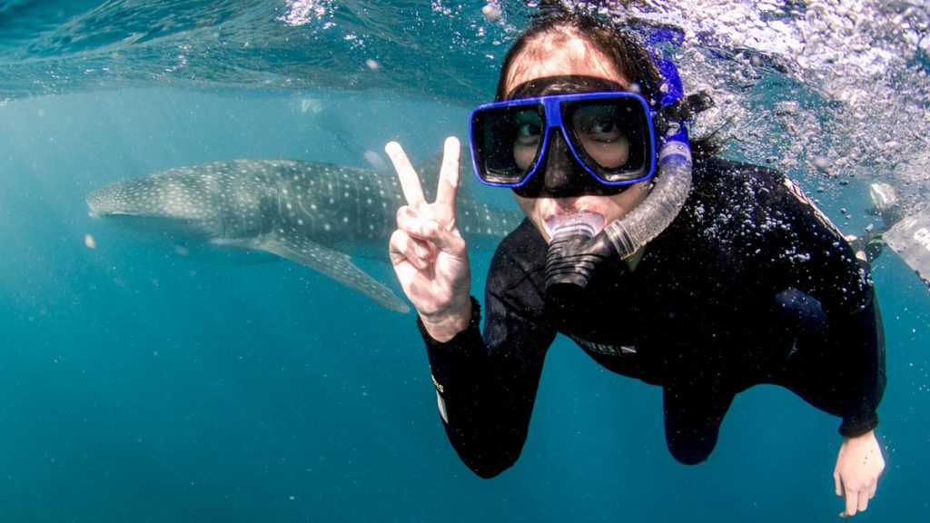 Swimming with Whale Sharks in Western Australia - Reasons to Visit Australia