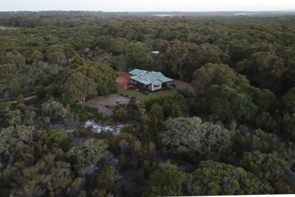 Gum Tree Gully Bush Shot - Accommodation in Western Australia