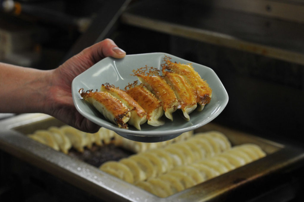 Local Specialty Gyoza at Utsunomiya in Tochigi Japan - Where to go in Japan - Underrated cities near Narita Airport