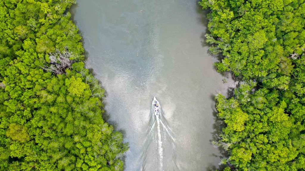 Speedboating through mangroves in Bintan