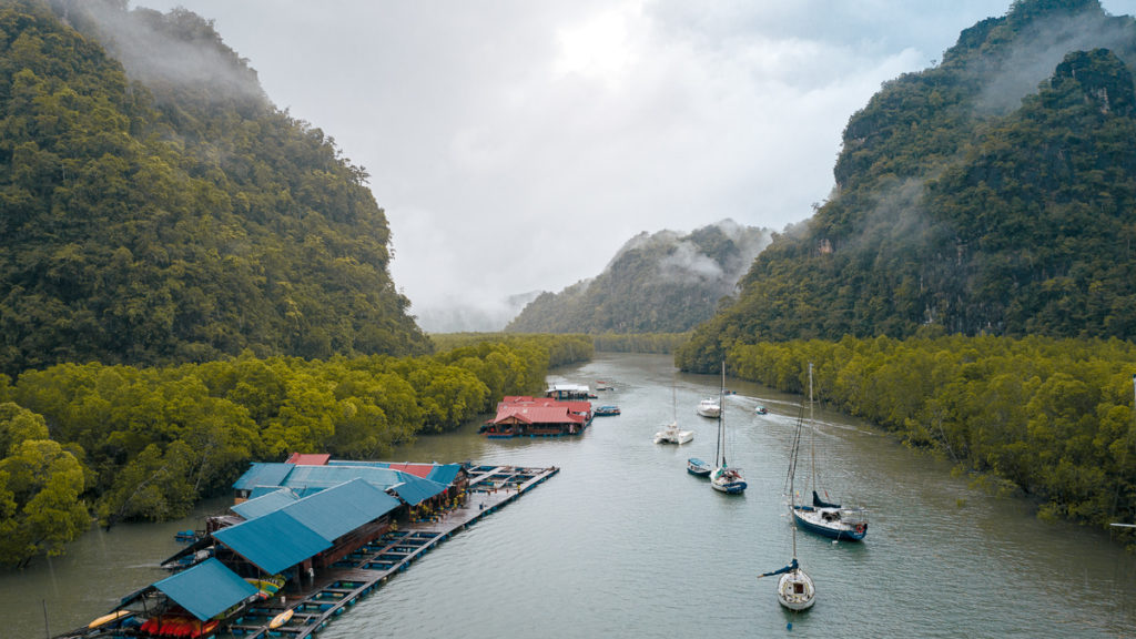 Mangrove Tour - Things to do in Langkawi