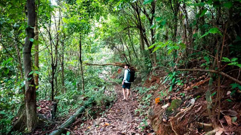 Perhentian Kecil jungle walk - Kota Bharu Guide Perhentian Islands