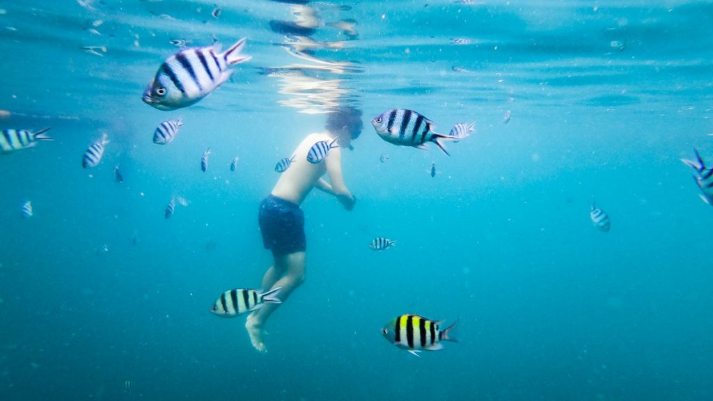Perhentian island kecil snorkelling with fish - Kota Bharu Guide Perhentian Islands