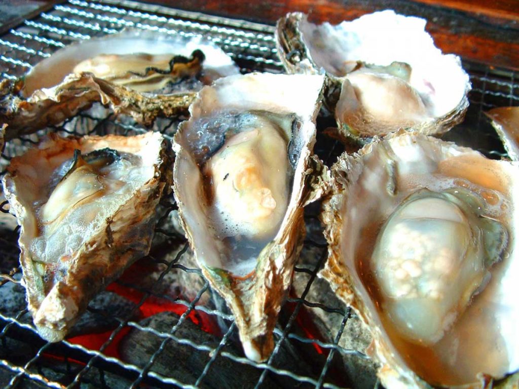 Uramura Grilled Oysters in Chubu Japan