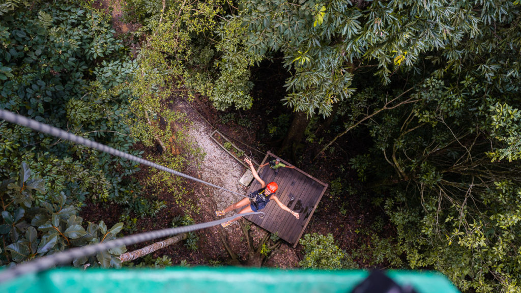 Abseiling down the treetop  