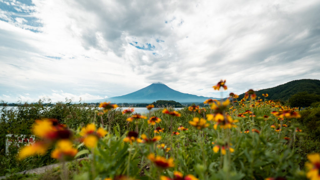 View Of Mount Fuji